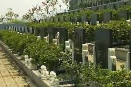 中国辽东地区满汉合壁墓碑保护与研究论坛召开