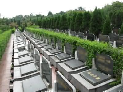 注重农村公益性墓地的管理与维护