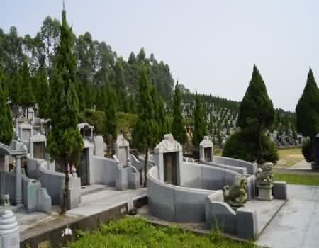 殡葬从业人员的健康、安全等问题未得到有效保障