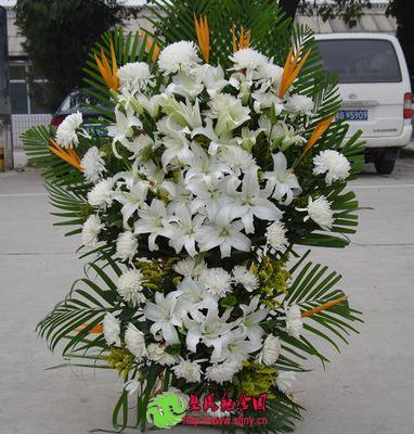 蚌埠开行6条免费扫墓专线