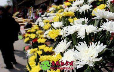 生态经济理念助推我国现代殡葬行业的发展探究