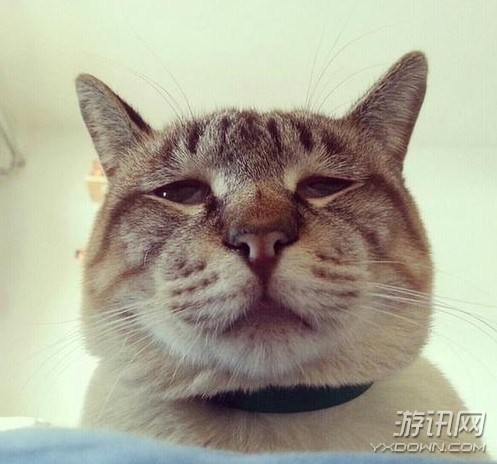 游讯网