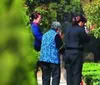 佛教中的“人本”因子