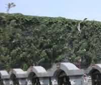 敦煌佛教入门读物的功用