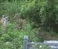 佛教与道教的相互影响 