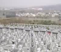 深入挖掘佛教八宝纹再生的可行性