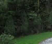 佛教在家信徒“月六斋”与本土定期斋戒的关系