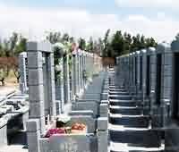 南传与藏传佛教的发展