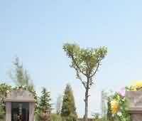 中马佛教之联系 