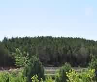 浅析佛教对装饰艺术的影响