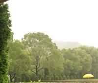 “青州佛教雕塑的种类”教材分析