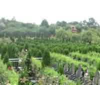 男女在“佛性”上平等