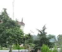 男女在权利方面平等