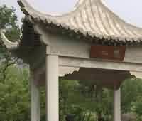 力行素食戒杀,转向禅净双修 