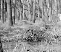 唐初中日两国的统治者对佛教管理的差异