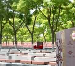 晚明佛教的发展