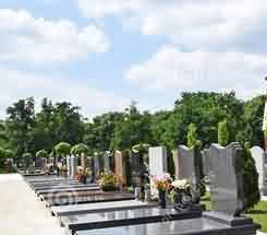 星云人间佛教的思想内涵