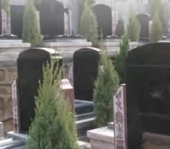 龙门石窟的营造 