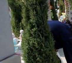 吐蕃道传入时间无从考