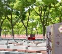 约解脱而论,佛教是智证