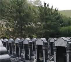 宗教同源性与政治同构性