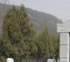 《道教义枢》与《法苑珠林》分类之比较 