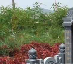 扼守南疆,蜀求佛法 