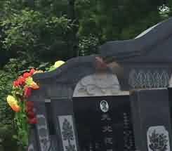 道教与佛教对生命的看法