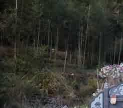 佛教文化的传入与五台山的独特地形