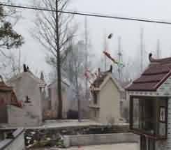 寺院僧伽组织的建立