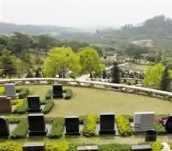 唐代塔铭的研究意义