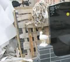 政治的现实需要