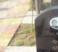 政府的大力支持