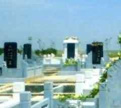 台湾佛教的社会关怀