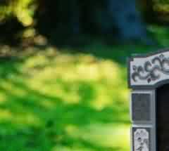 神话园凋敝的文化因素