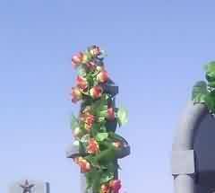 服务设施和管理状态有了较大的改善