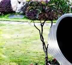 公元10-13世纪以外域克什米尔艺术风格为主