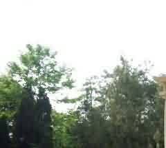 利用海岛独特的地理环境实行海葬