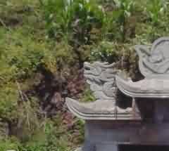 增强人文纪念园生态的自我平衡