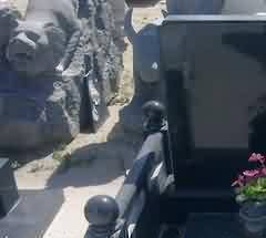 华严净土:主室南北壁与西盒设计之关联