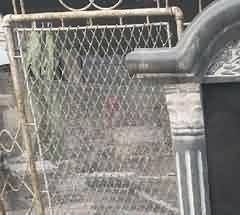 唐诗中的天女和天女散花