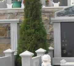 论雪漠小说的佛教文裕色彩