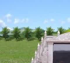 为死者祈祷的鸟