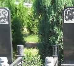 生者的过渡礼仪