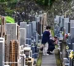 个人政治接触与陈谏