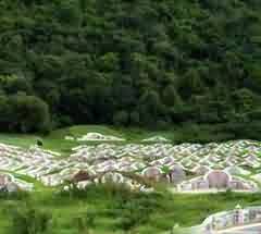 参政与否的两难