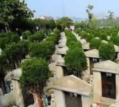 海陵王毁寺建陵