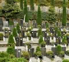 从T形帛画的主题看汉代重生厚死的社会风尚