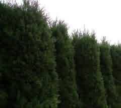 浅淡中国佛教造像中的人文思想