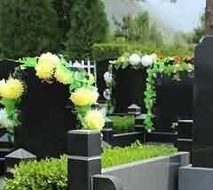 佛经关于蜂作蜜的议论